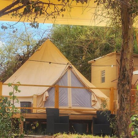 Glamping Dunas Del Sol San Pedro de Atacama Dış mekan fotoğraf