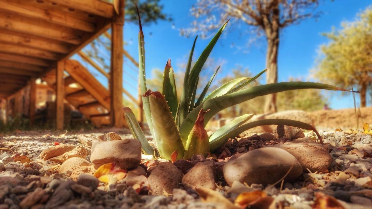 Glamping Dunas Del Sol San Pedro de Atacama Dış mekan fotoğraf